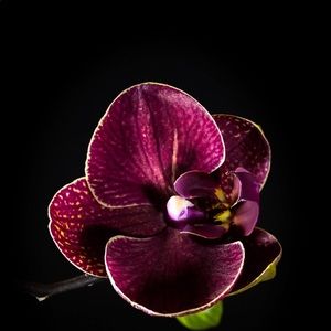 Meet your Posher, Fernanda